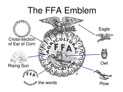 ffa meaning